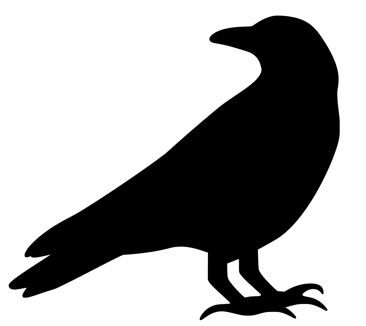 Raven Property Group