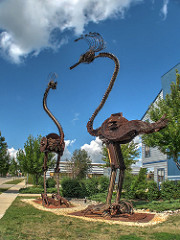 birds.jpg