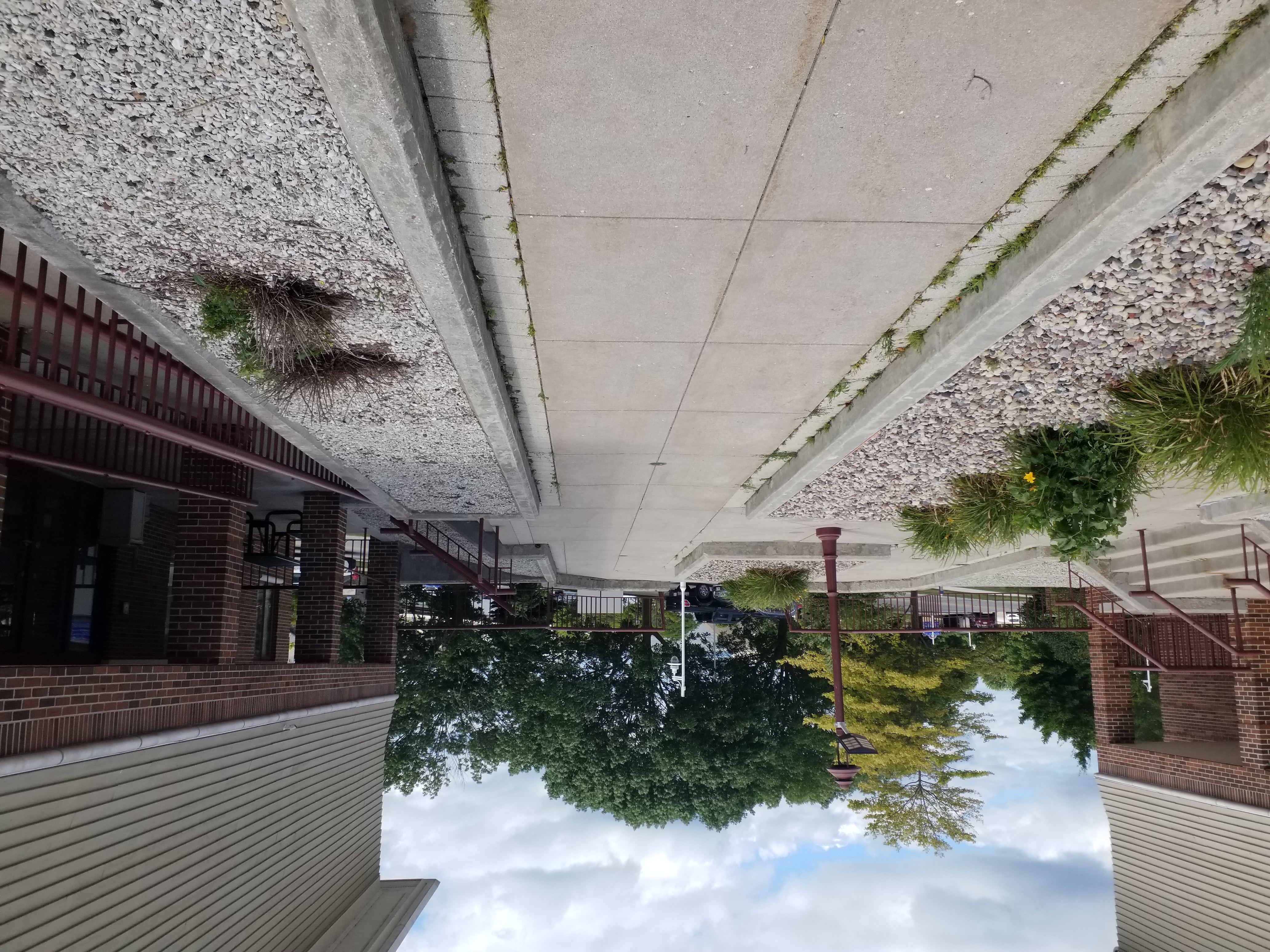 20240810_142235.jpg