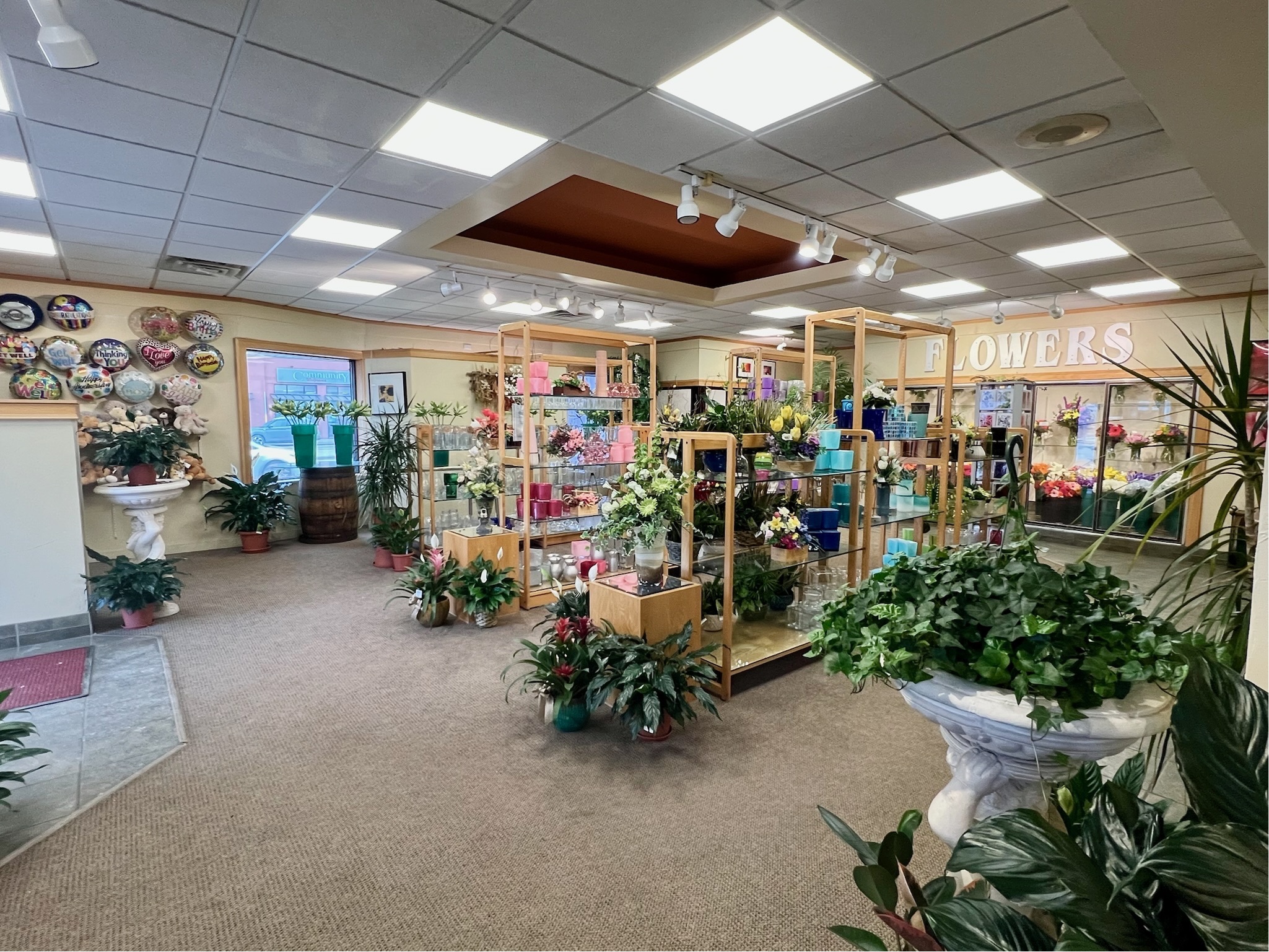 Showroom2 - Copy.jpg