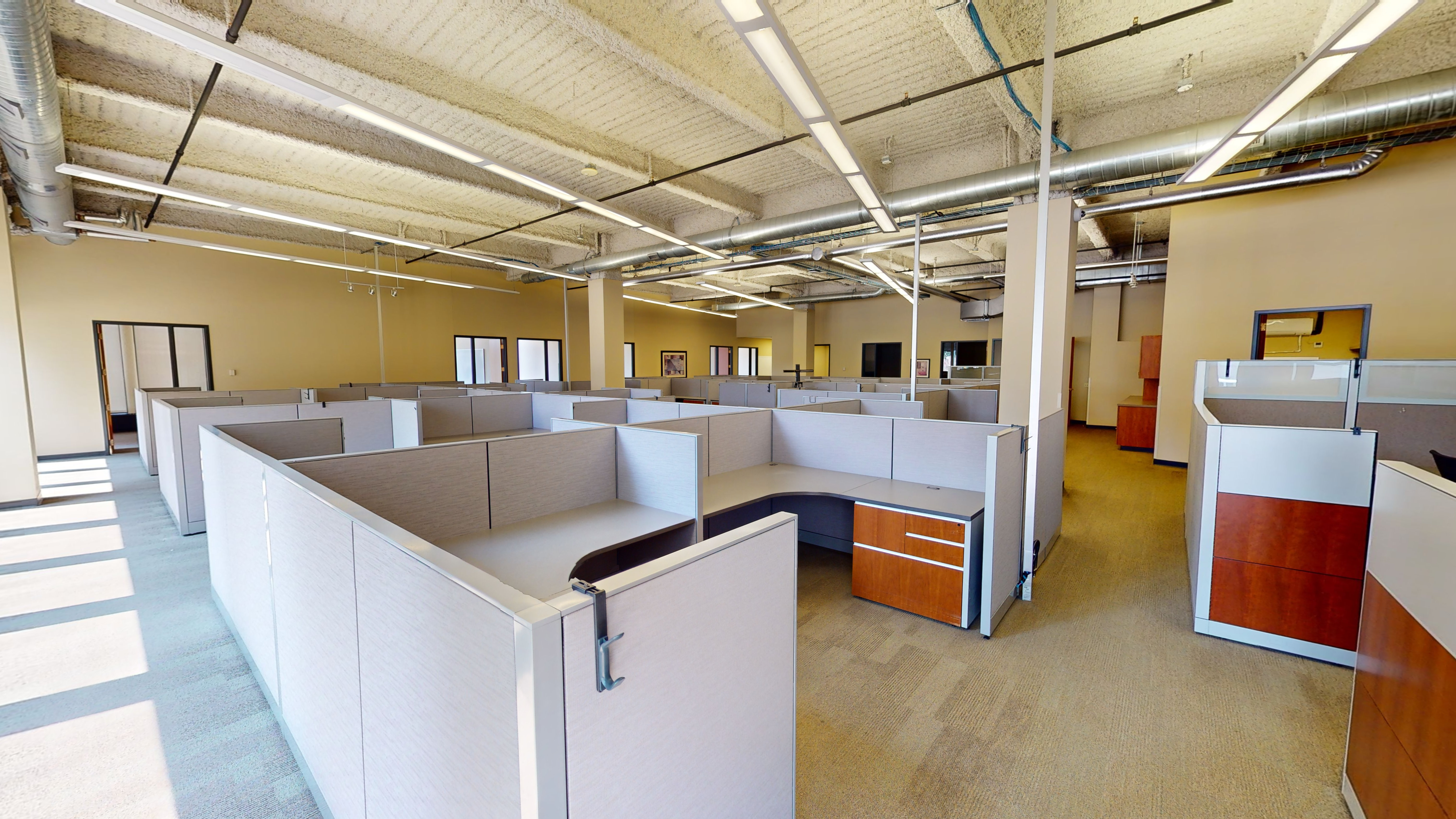 Suite 100 11.jpg