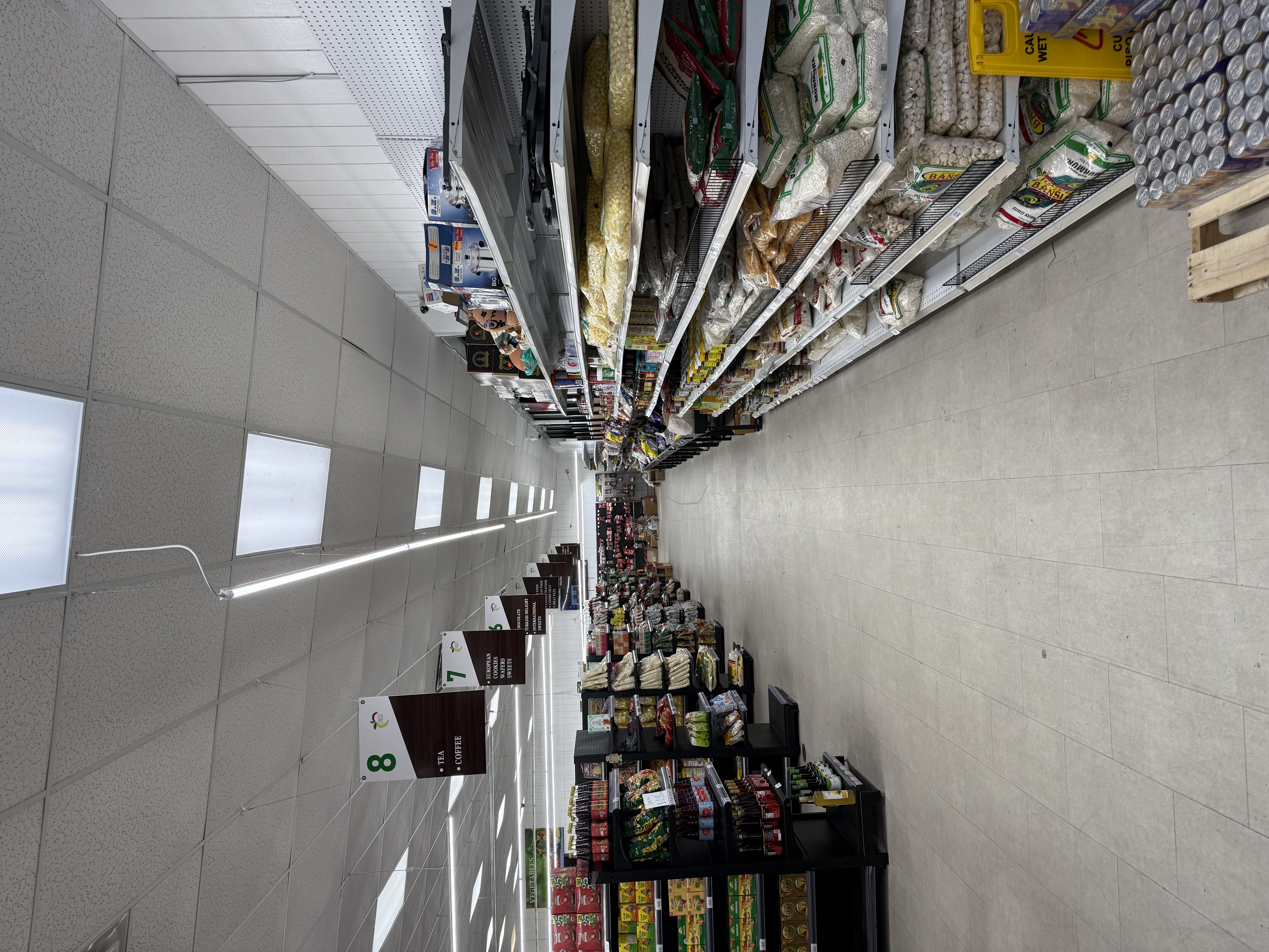 IMG_8017.jpeg