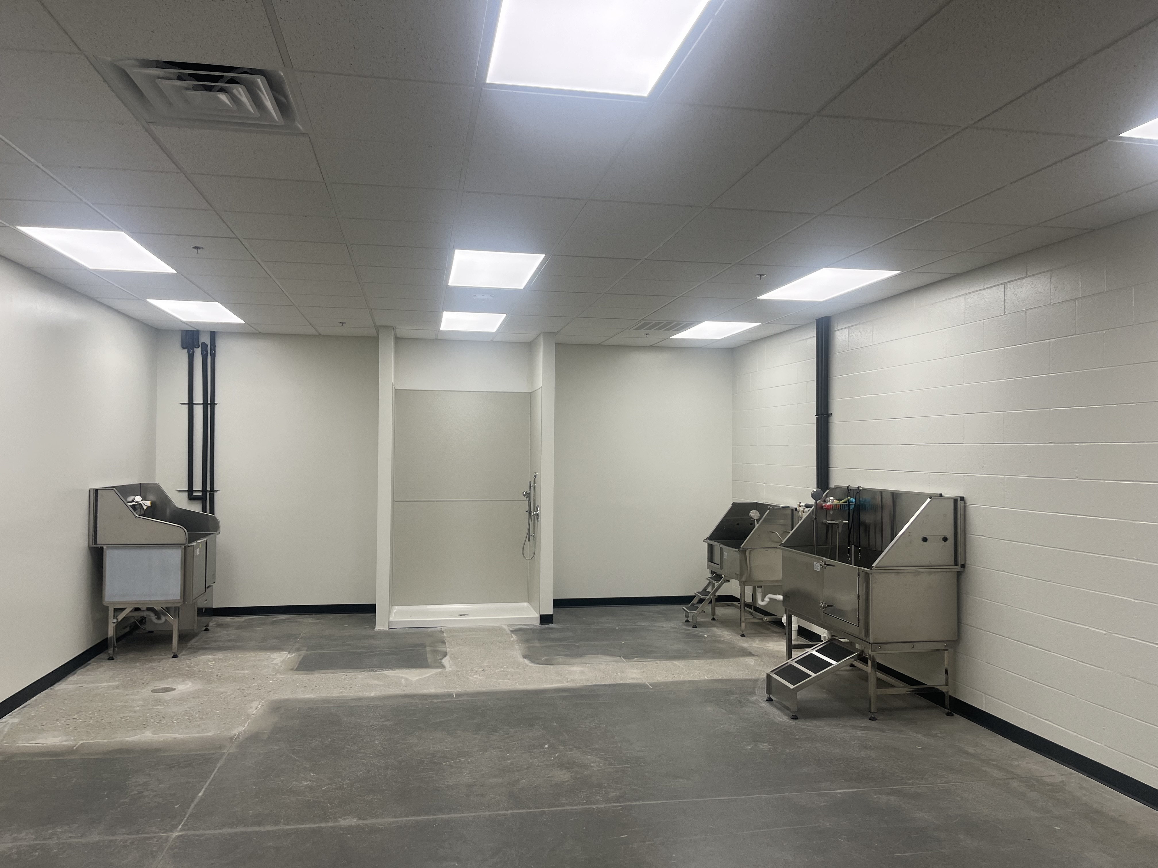 Pet Groomer Space.jpeg