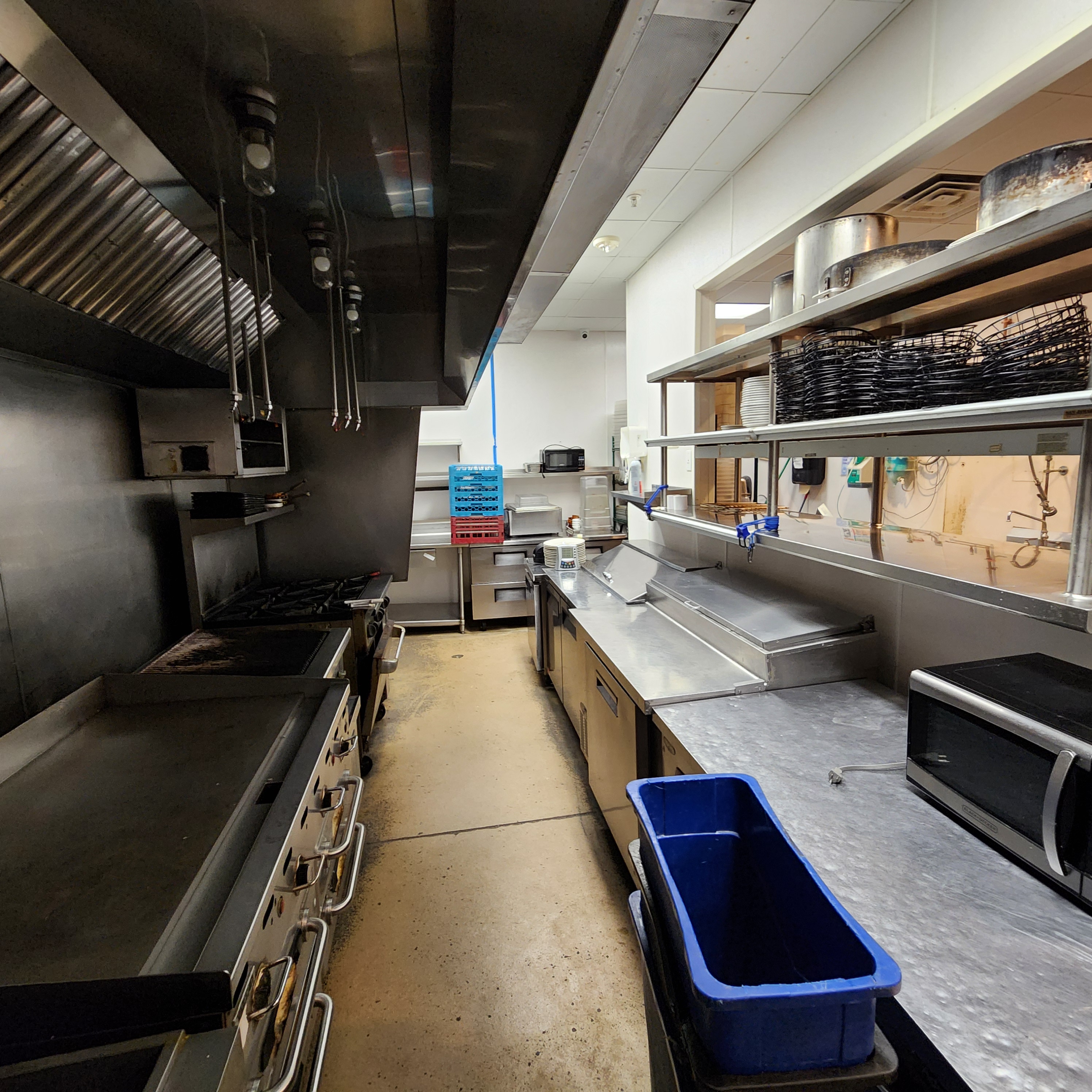 Flying Hound Pic 4.jpg