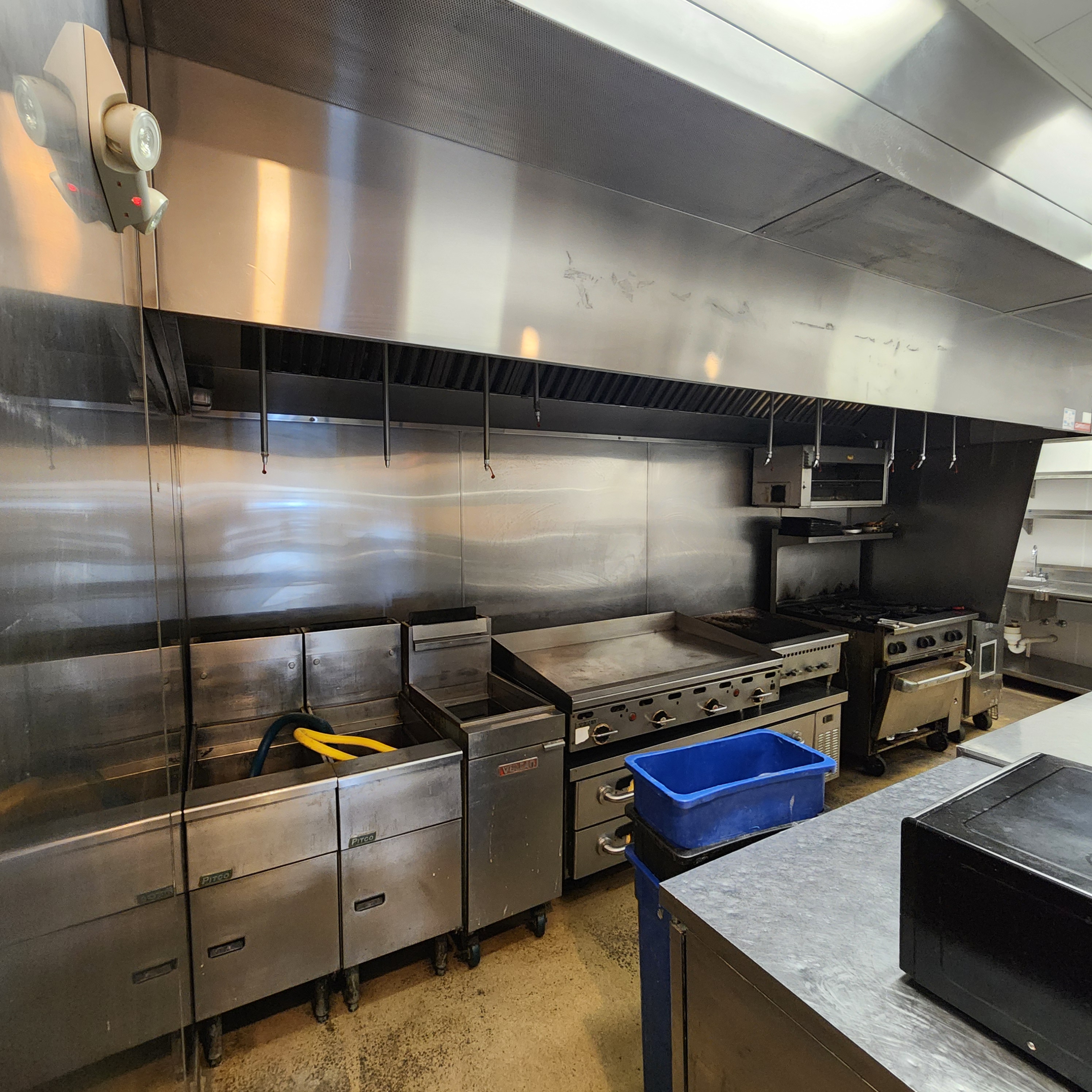 Flying Hound Pic 3.jpg