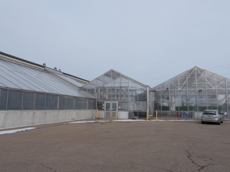 Exterior Greenhouse 2.jpg